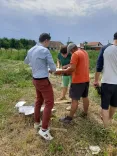 Drei Männer studieren den Bauplan inmitten des abgesteckten Haus des Lächelns Baugrundes.